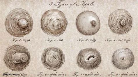 pesones grandes|There Are 8 Types of Nipples in the World